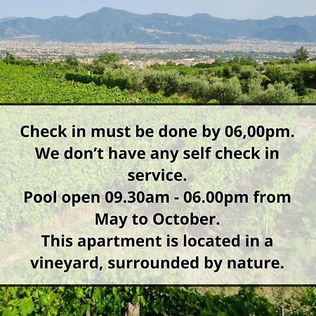 Vesuvio Inn Guest House E Wine Experience Boscotrecase エクステリア 写真