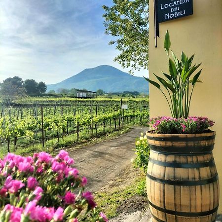 Vesuvio Inn Guest House E Wine Experience Boscotrecase エクステリア 写真