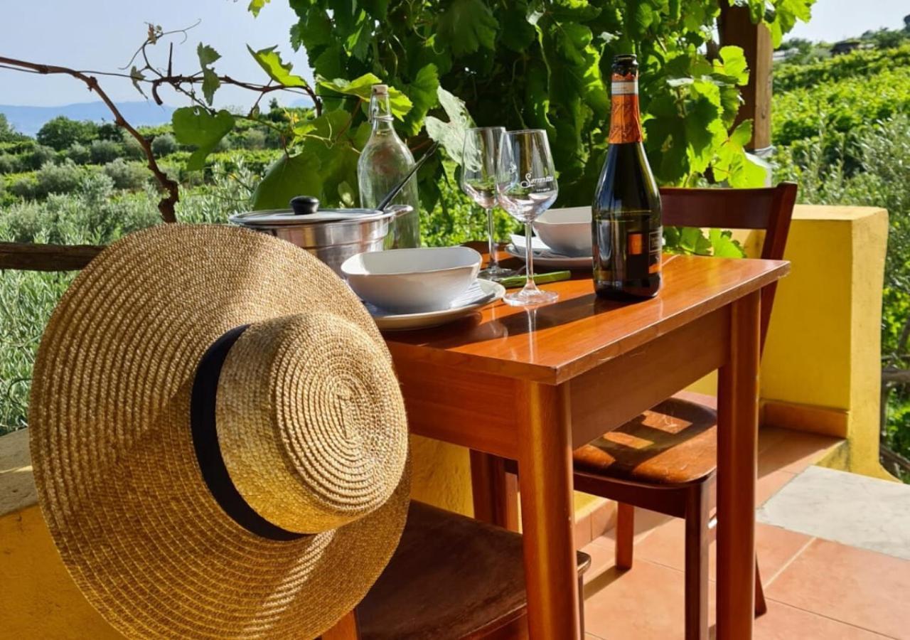 Vesuvio Inn Guest House E Wine Experience Boscotrecase エクステリア 写真