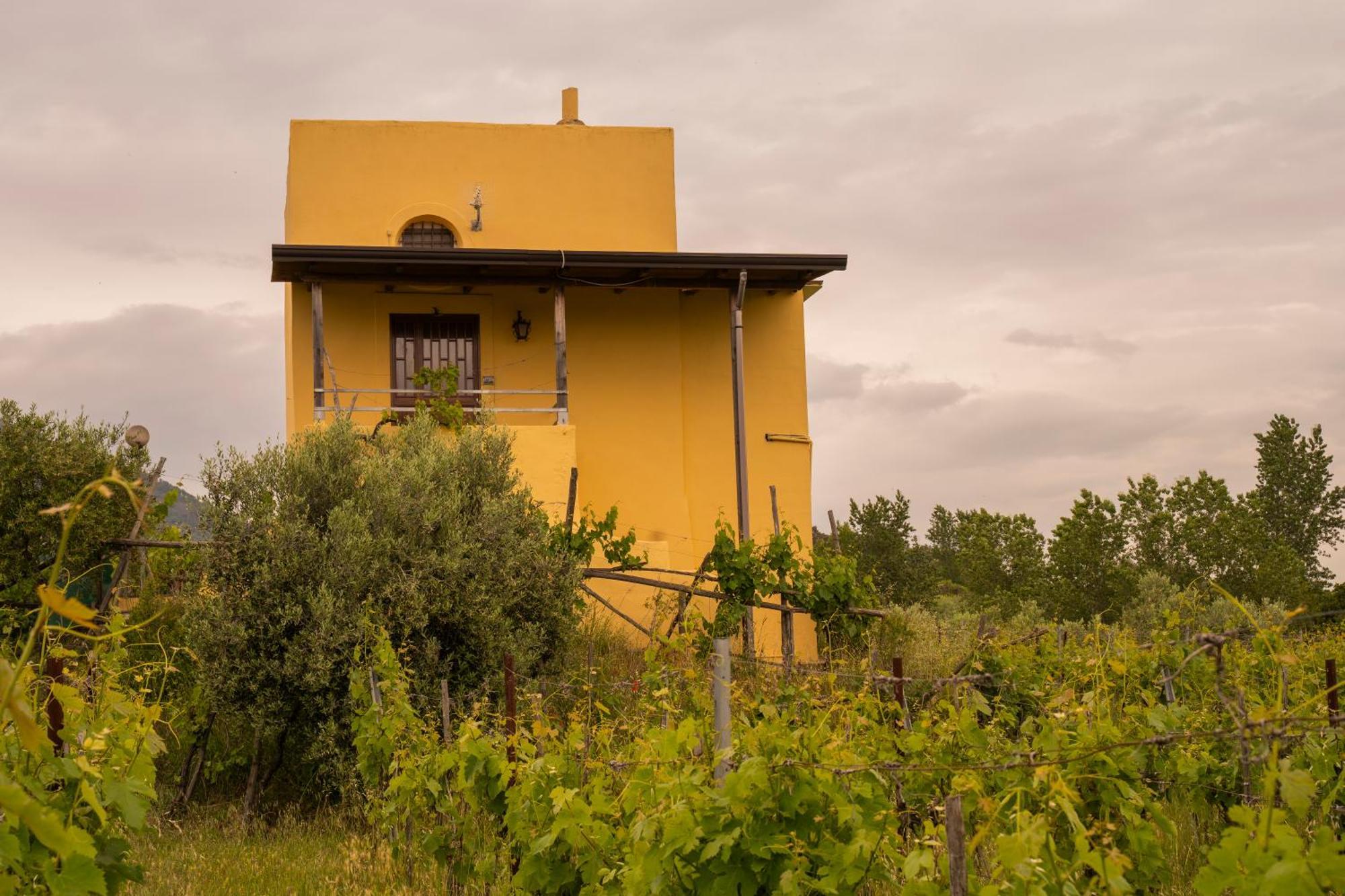 Vesuvio Inn Guest House E Wine Experience Boscotrecase エクステリア 写真