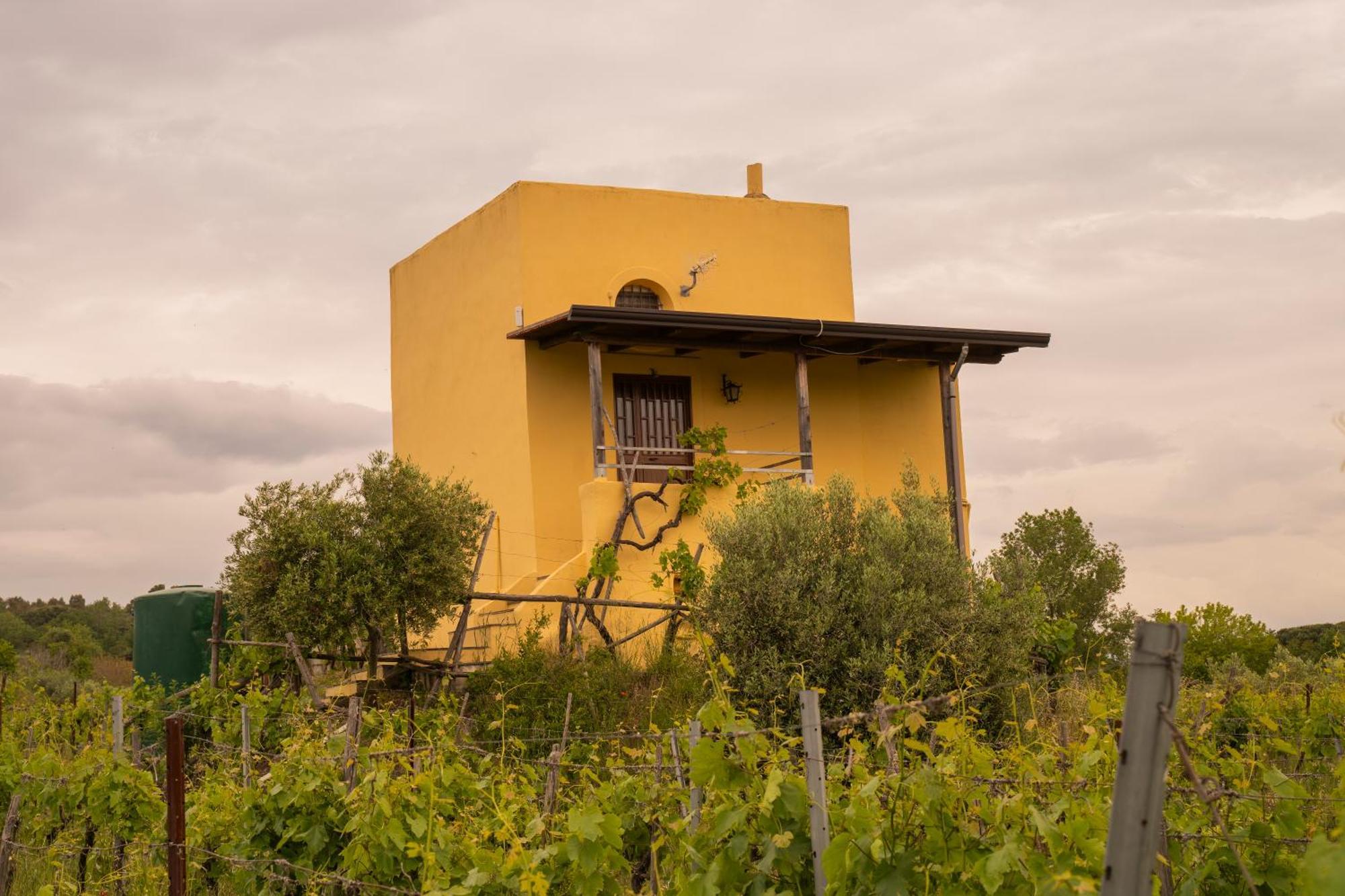 Vesuvio Inn Guest House E Wine Experience Boscotrecase エクステリア 写真