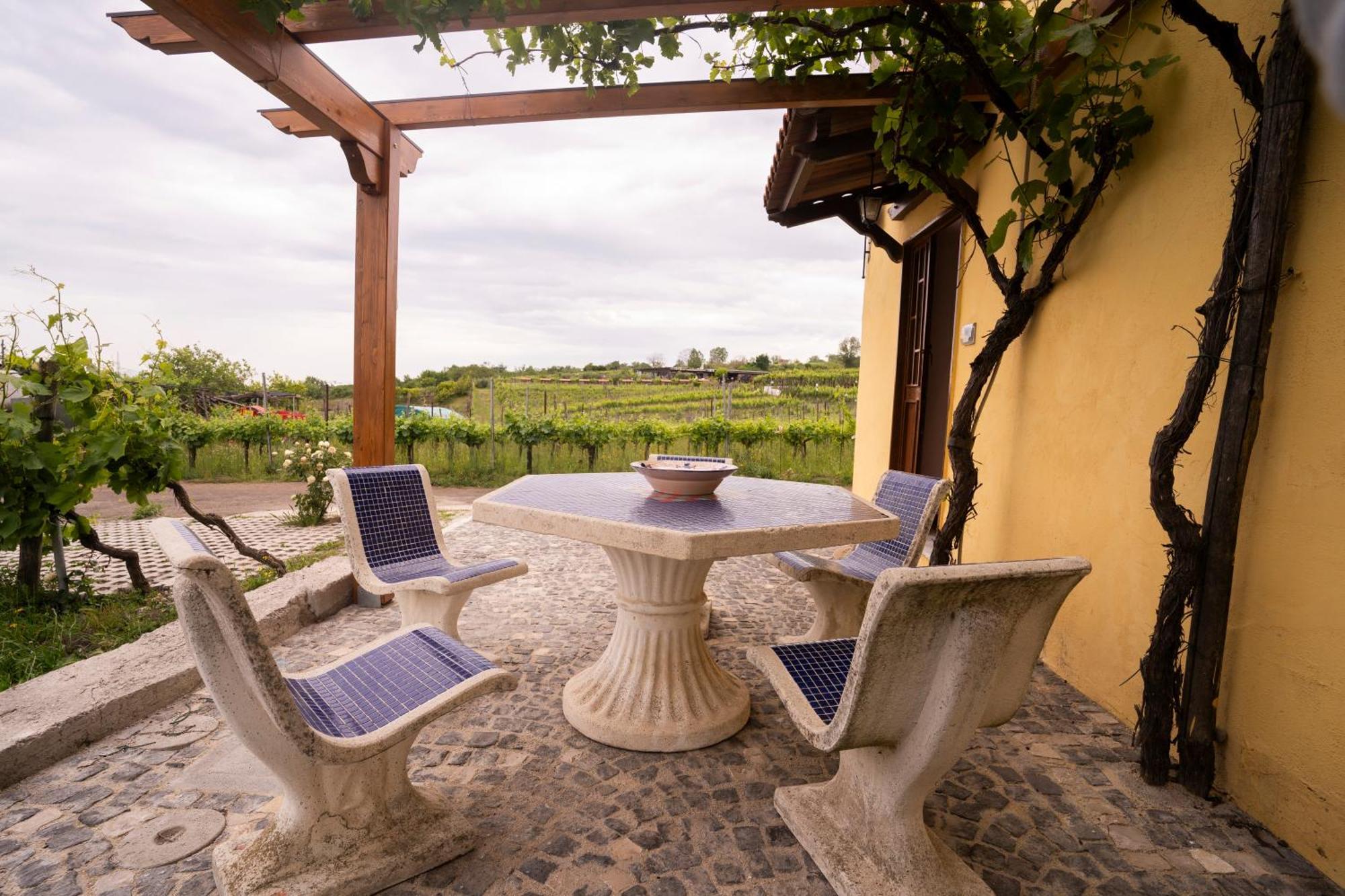 Vesuvio Inn Guest House E Wine Experience Boscotrecase エクステリア 写真