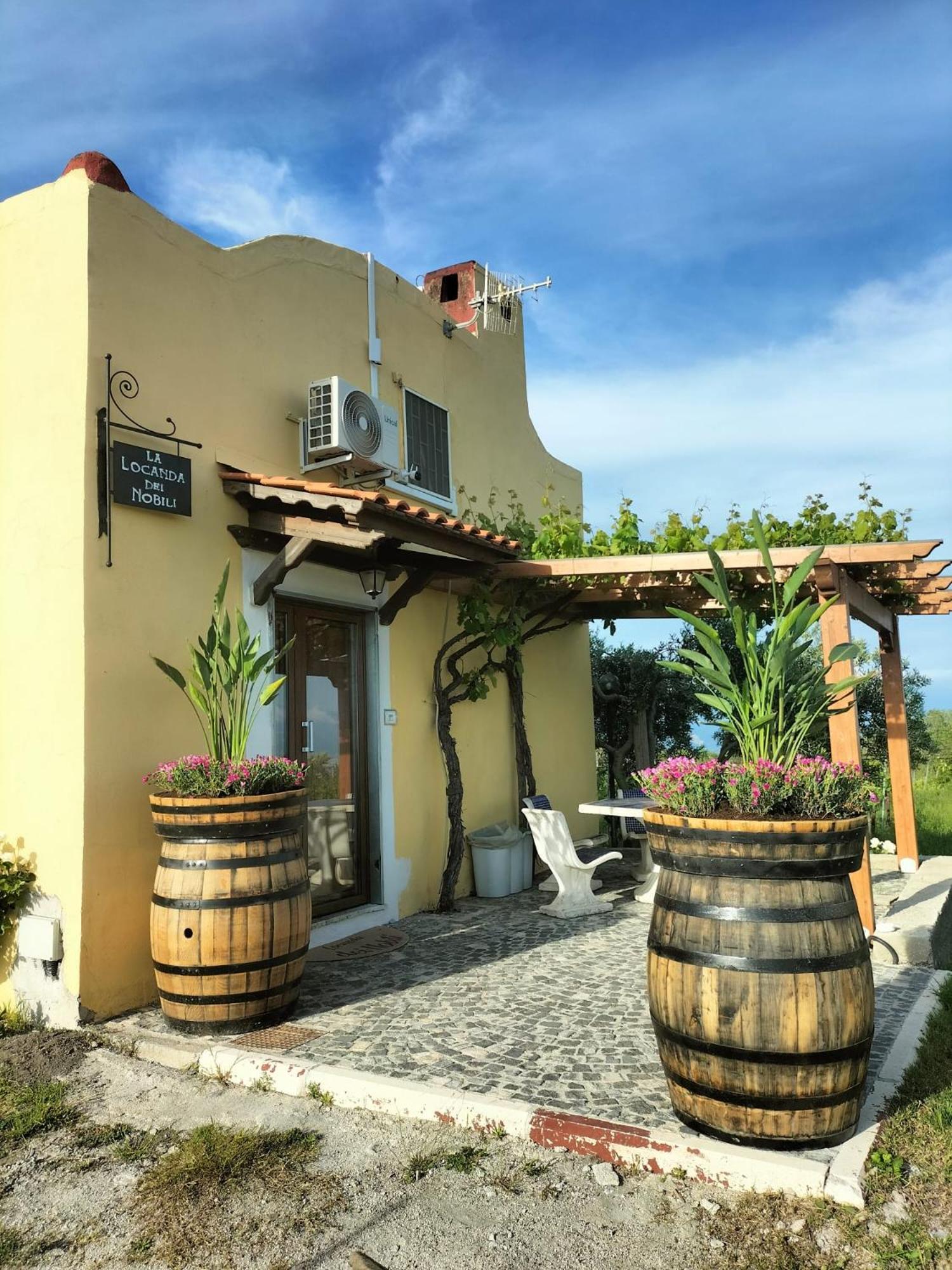 Vesuvio Inn Guest House E Wine Experience Boscotrecase エクステリア 写真