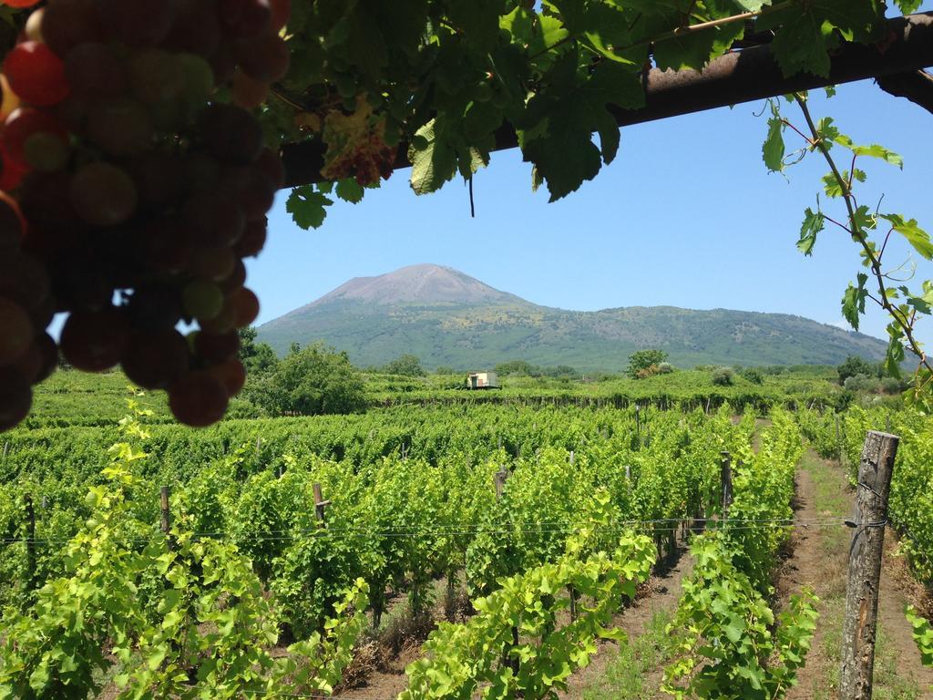 Vesuvio Inn Guest House E Wine Experience Boscotrecase エクステリア 写真
