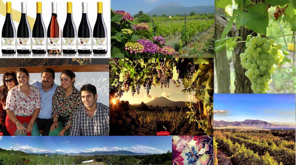 Vesuvio Inn Guest House E Wine Experience Boscotrecase エクステリア 写真